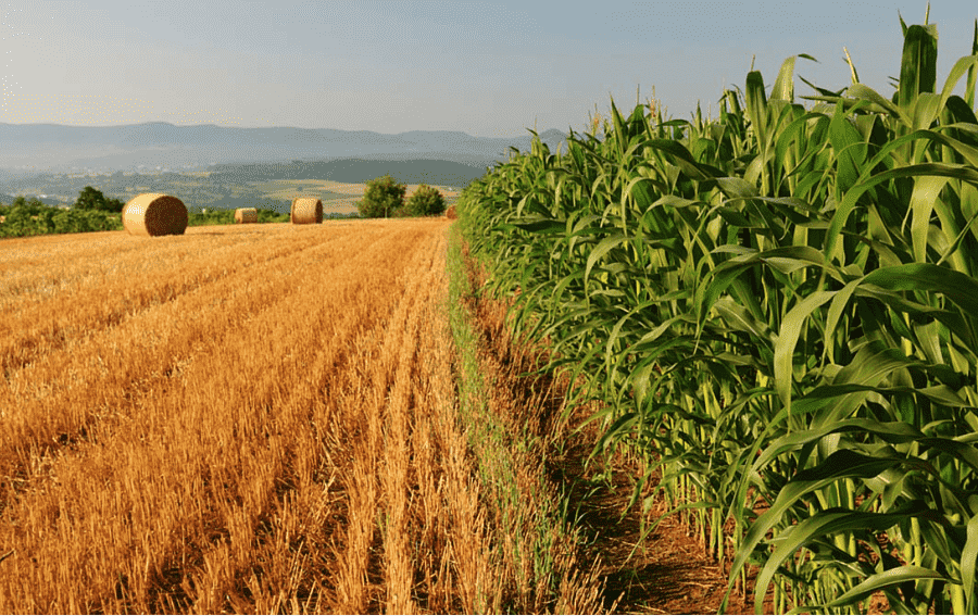 Land photo
